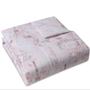 Paris 2 Piece Twin Comforter Mini Set